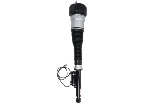 Air Suspension Strut