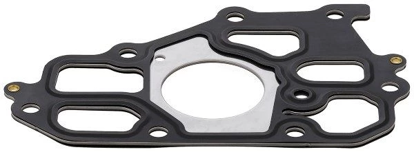 Gasket, coolant flange