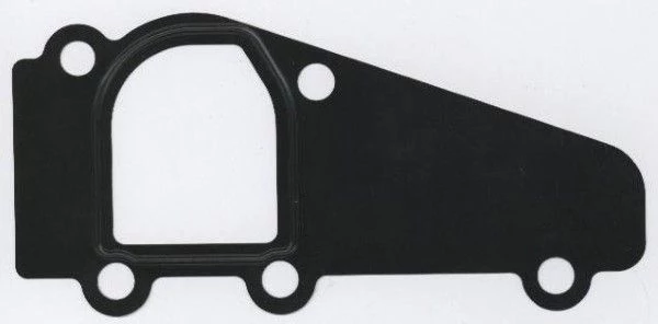 Gasket, coolant flange
