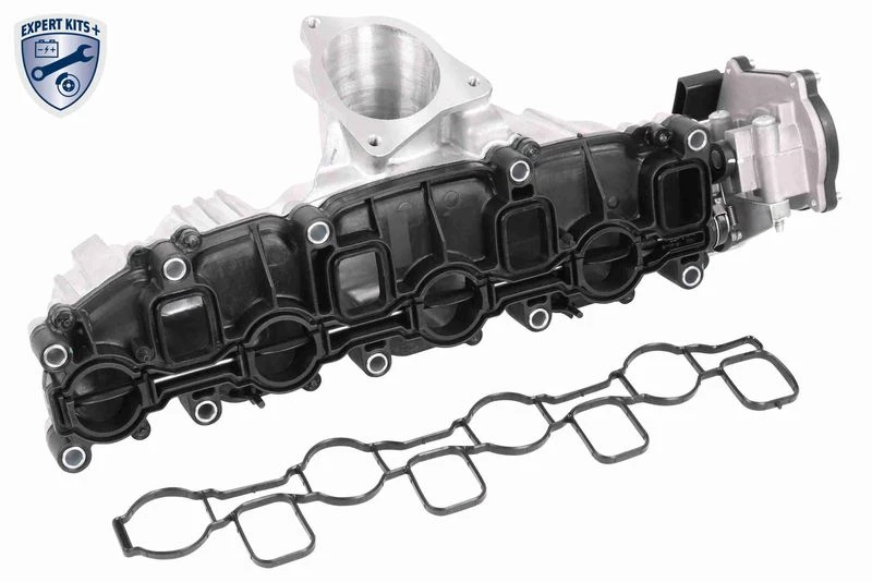 Intake Manifold Module