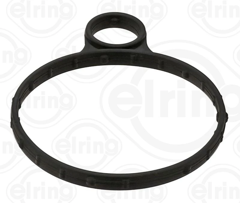 Gasket, vacuum pump