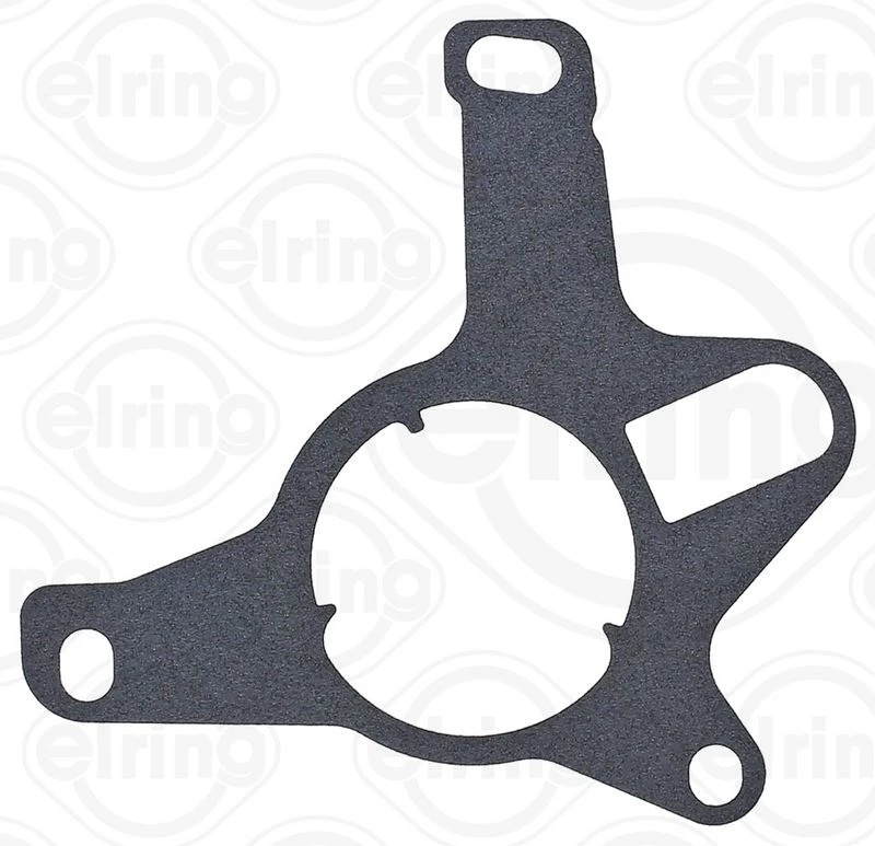 Gasket, vacuum pump