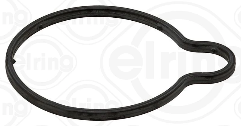 Gasket, vacuum pump