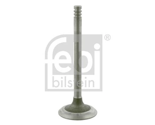 Intake Valve