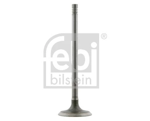 Intake Valve
