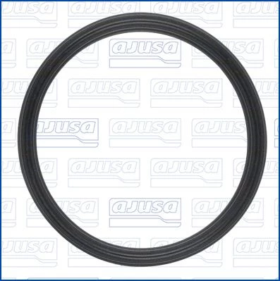 Gasket, oil filler neck cap