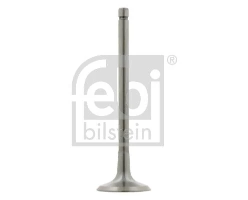 Intake Valve