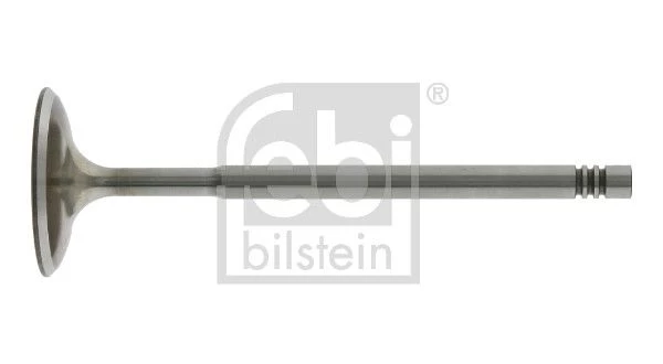 Intake Valve
