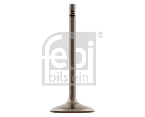 Intake Valve