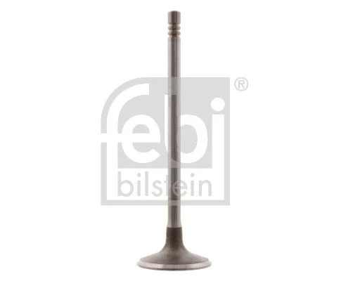 Intake Valve