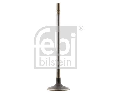 Intake Valve