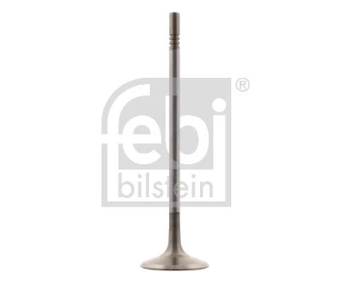 Intake Valve