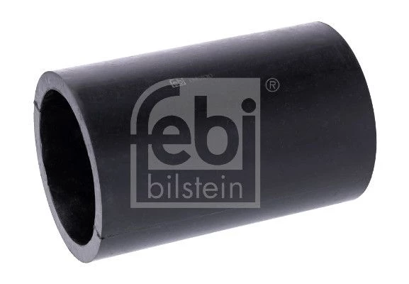 Bushing, leaf spring