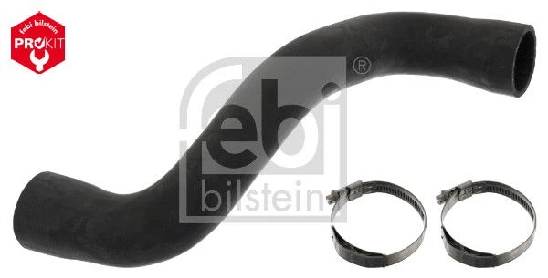 Radiator Hose