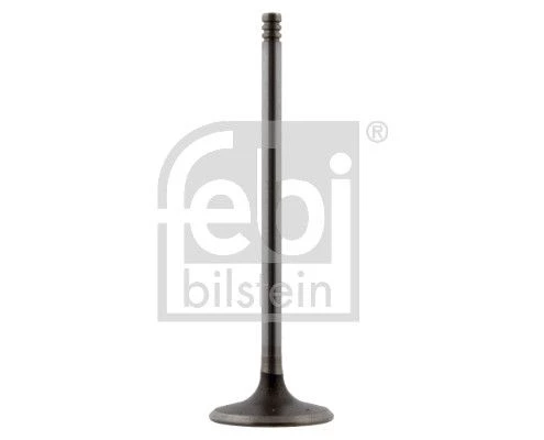 Intake Valve