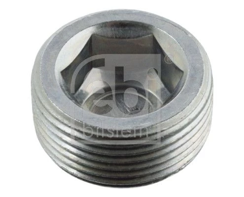 Screw Plug, axle drive