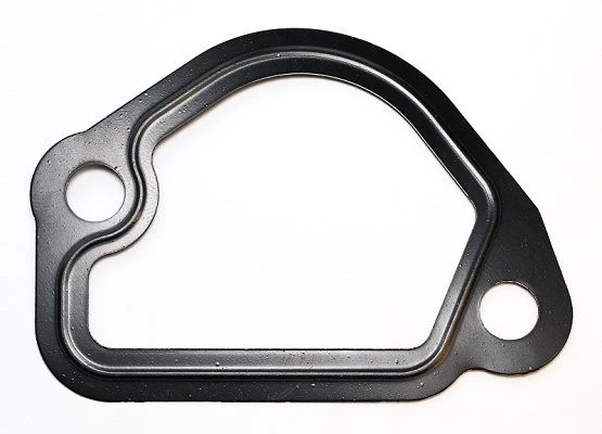 Gasket, coolant flange
