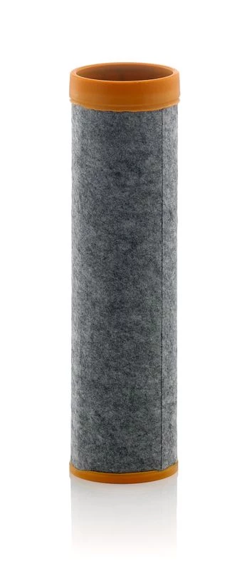 Secondary Air Filter