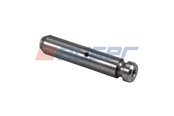 Spring Bolt