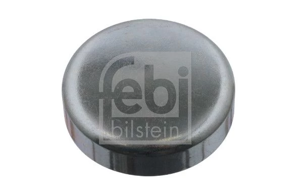 Frost Plug