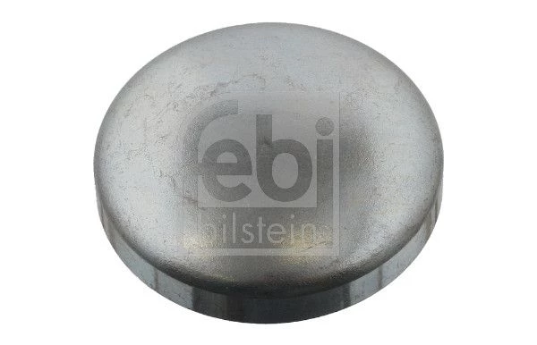 Frost Plug