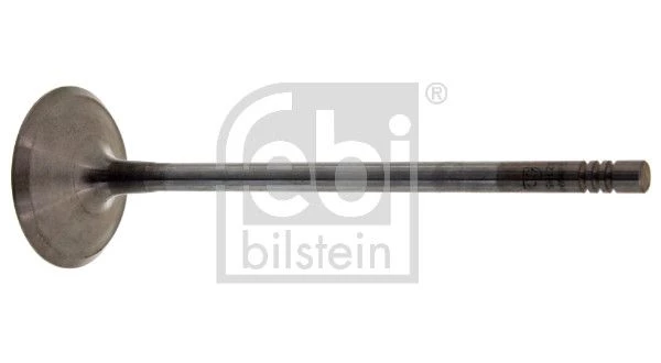 Intake Valve