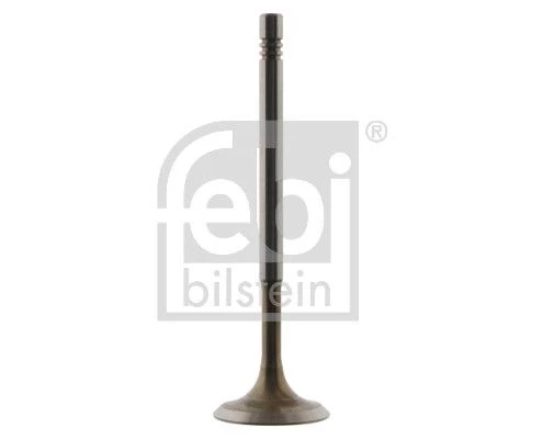 Intake Valve