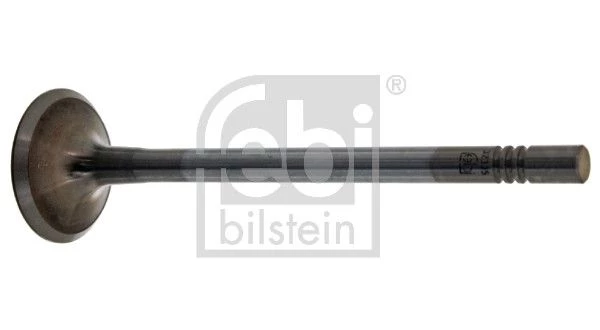 Intake Valve
