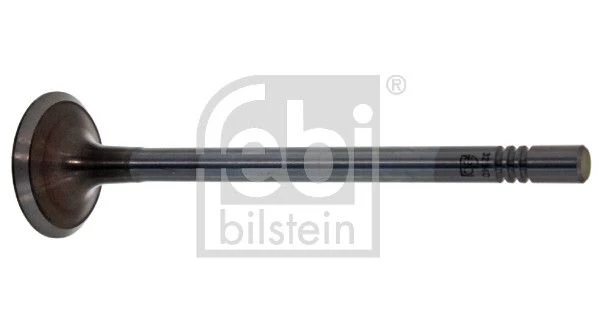 Intake Valve