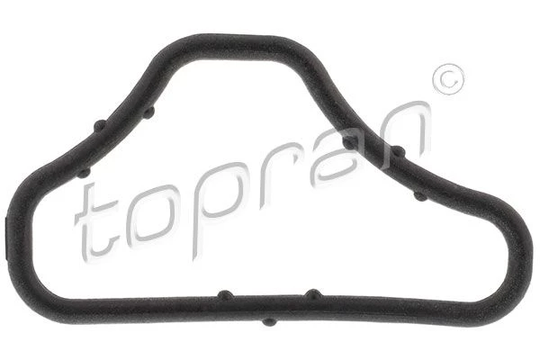 Gasket, coolant flange