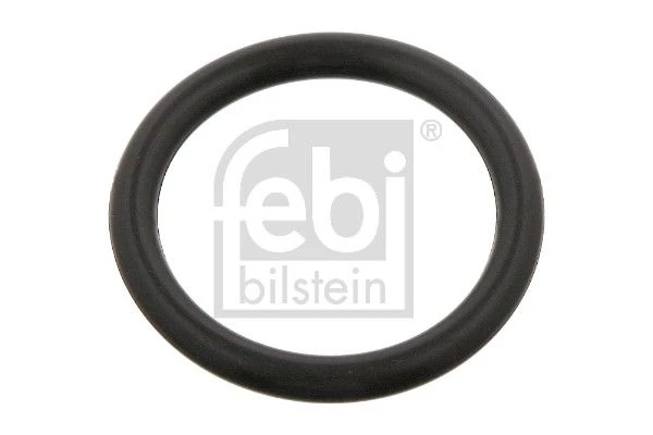 Seal Ring, spring bush (spring eye)