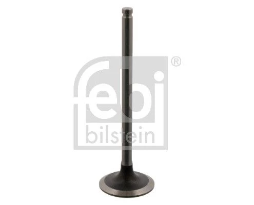 Intake Valve