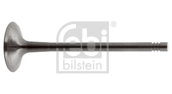 Intake Valve