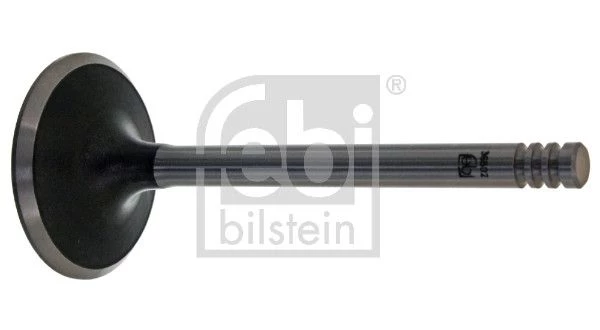 Intake Valve