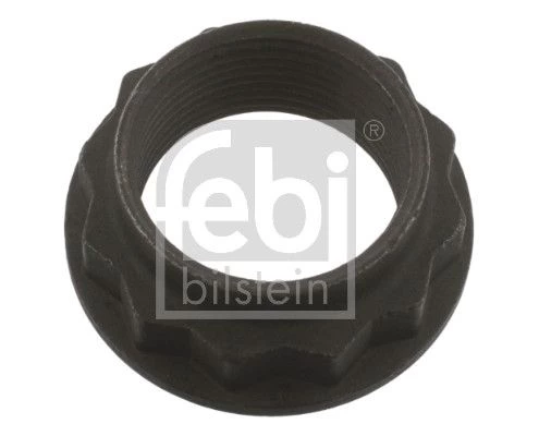 Nut, input shaft (differential)