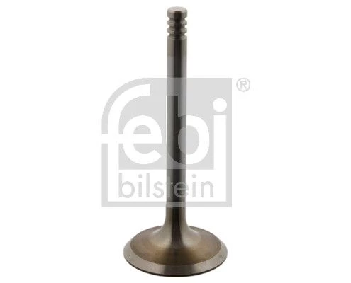Intake Valve