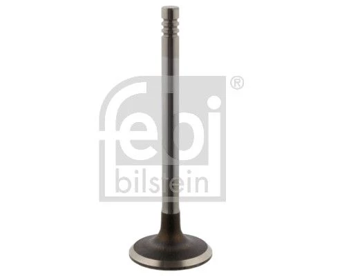 Intake Valve