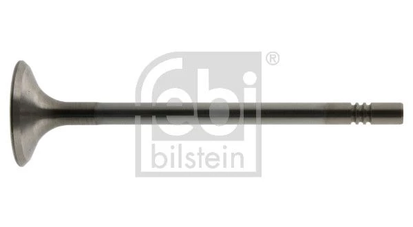Intake Valve