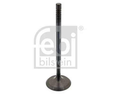 Intake Valve