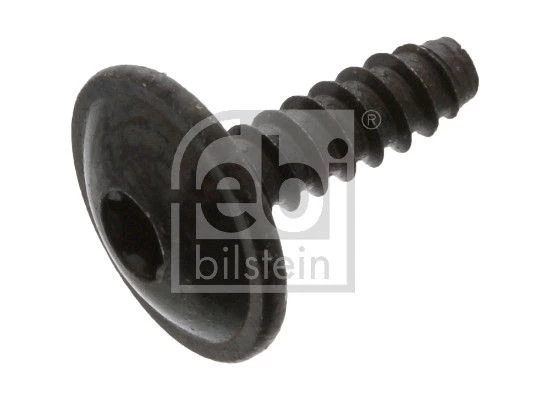 Engine Guard/Skid Plate