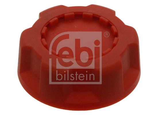 Cap, oil filler neck