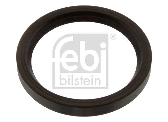 Shaft Seal, differential