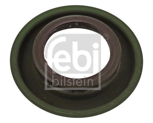 Shaft Seal, differential