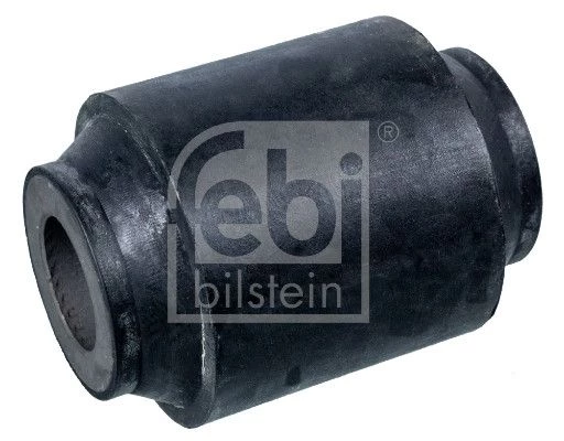 Bushing, leaf spring