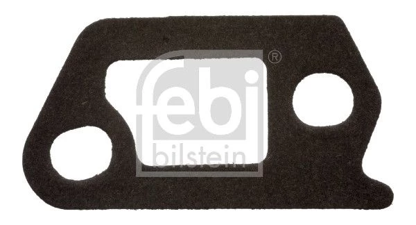 Gasket, coolant flange