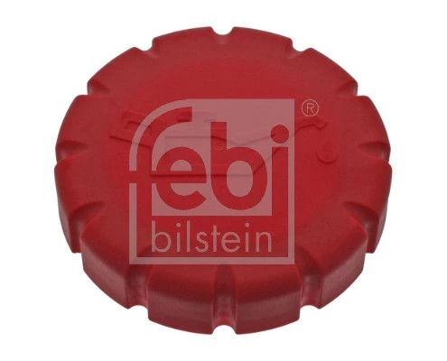 Cap, oil filler neck