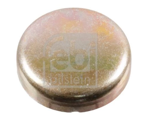 Frost Plug