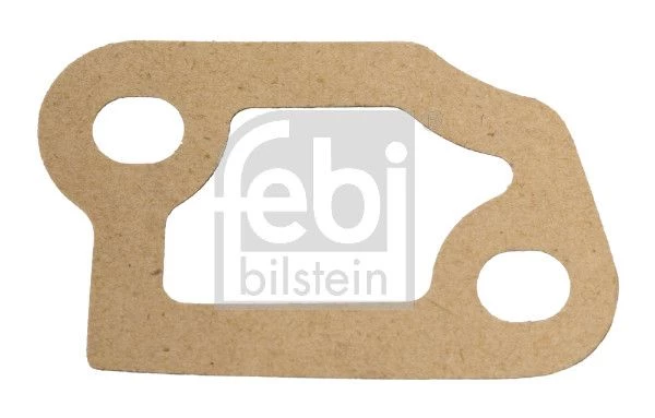 Gasket, coolant flange