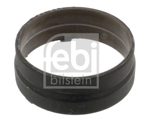 Gasket, differential