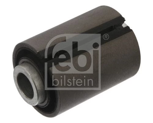 Mounting, leaf spring
